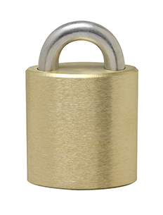 Series 89 Padlock - Model 89T5