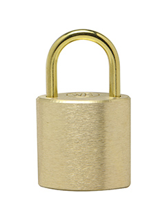 Model C21 Padlock Image
